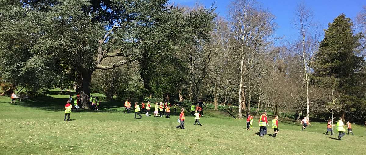 Forest School